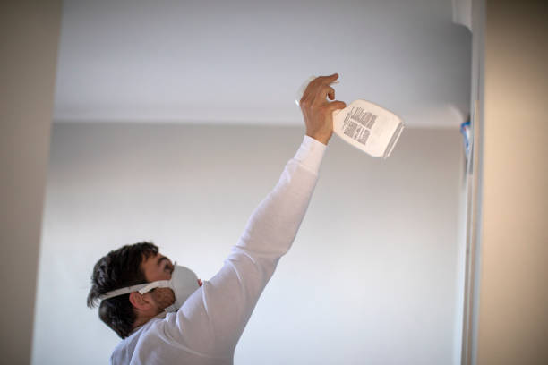 Best Office Mold Removal Services  in Moxee, WA