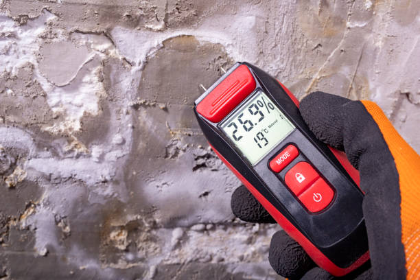 Best Mold Testing  in Moxee, WA