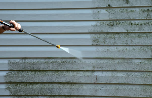 Certified Mold Removal in Moxee, WA