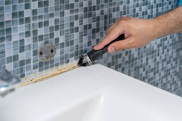 Best Home Mold Removal  in Moxee, WA