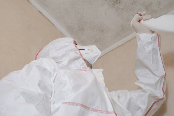 Best Commercial Mold Removal  in Moxee, WA