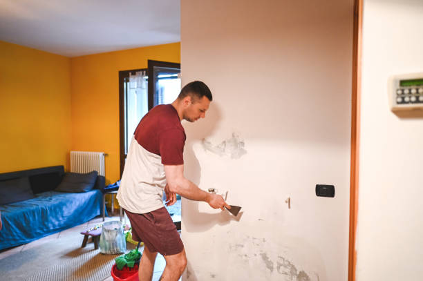 Best Professional Mold Removal  in Moxee, WA